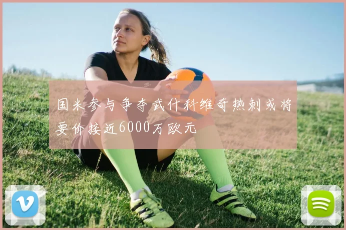 国米参与争夺武什科维奇热刺或将要价接近6000万欧元