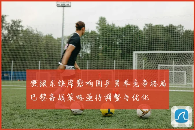 樊振东缺席影响国乒男单竞争格局巴黎备战策略亟待调整与优化